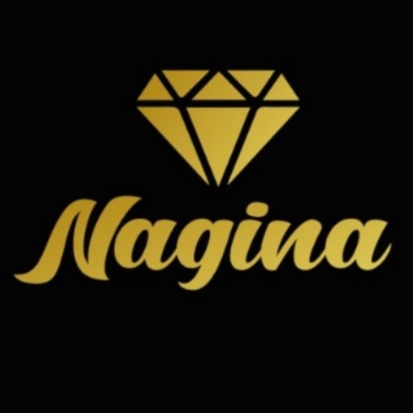 Nagina best Pakistani food in London